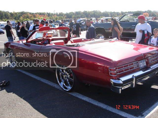 DSC06302.jpg