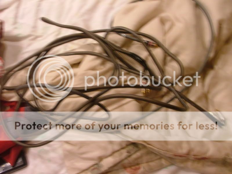 DSCF2654.jpg