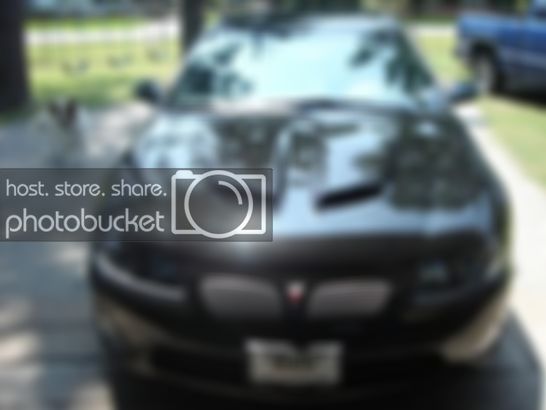 Copyofnewcars002.jpg