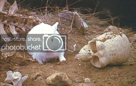 Killer_rabbit.jpg