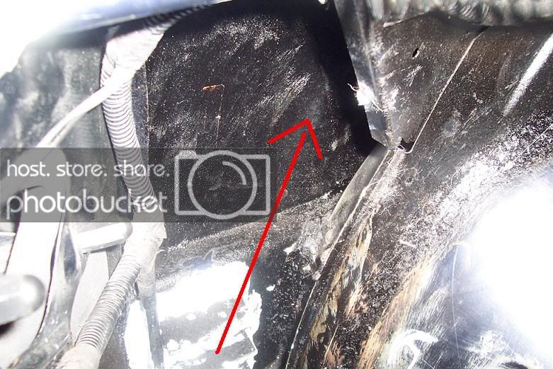 trunk2-1.jpg