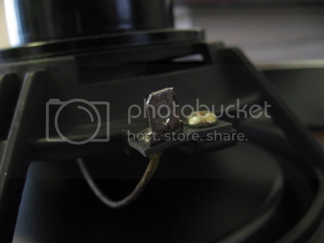 aapolys008.jpg