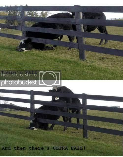 dairy-fail.jpg