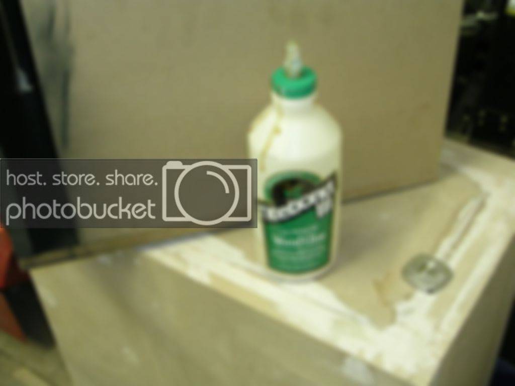 DSCN2037.jpg