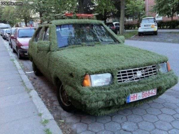 Funny_Pictures_109412.jpg