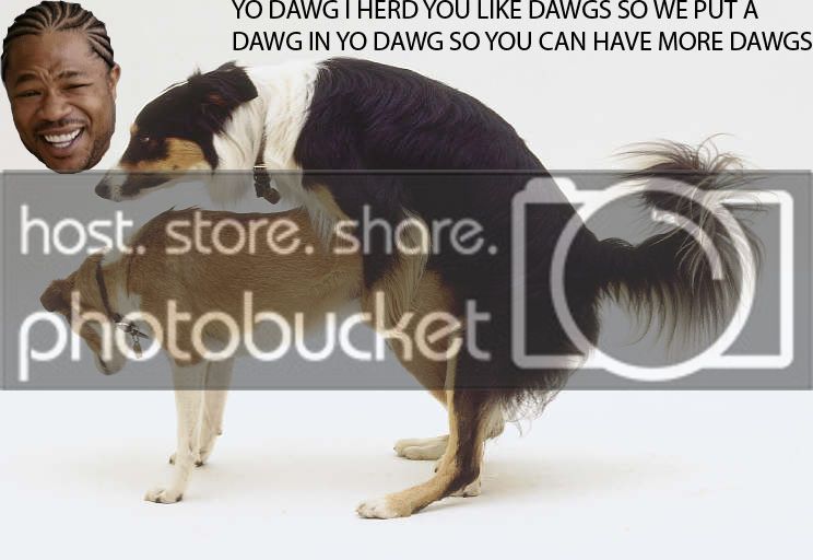 Dawgz.jpg