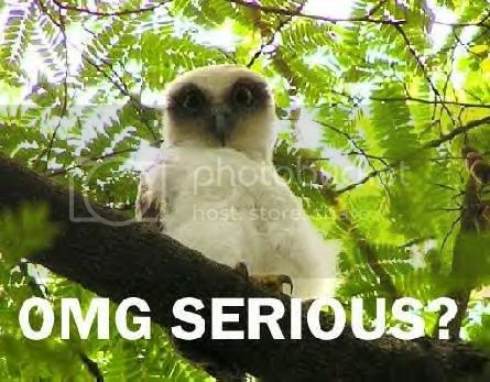 omgserious.jpg