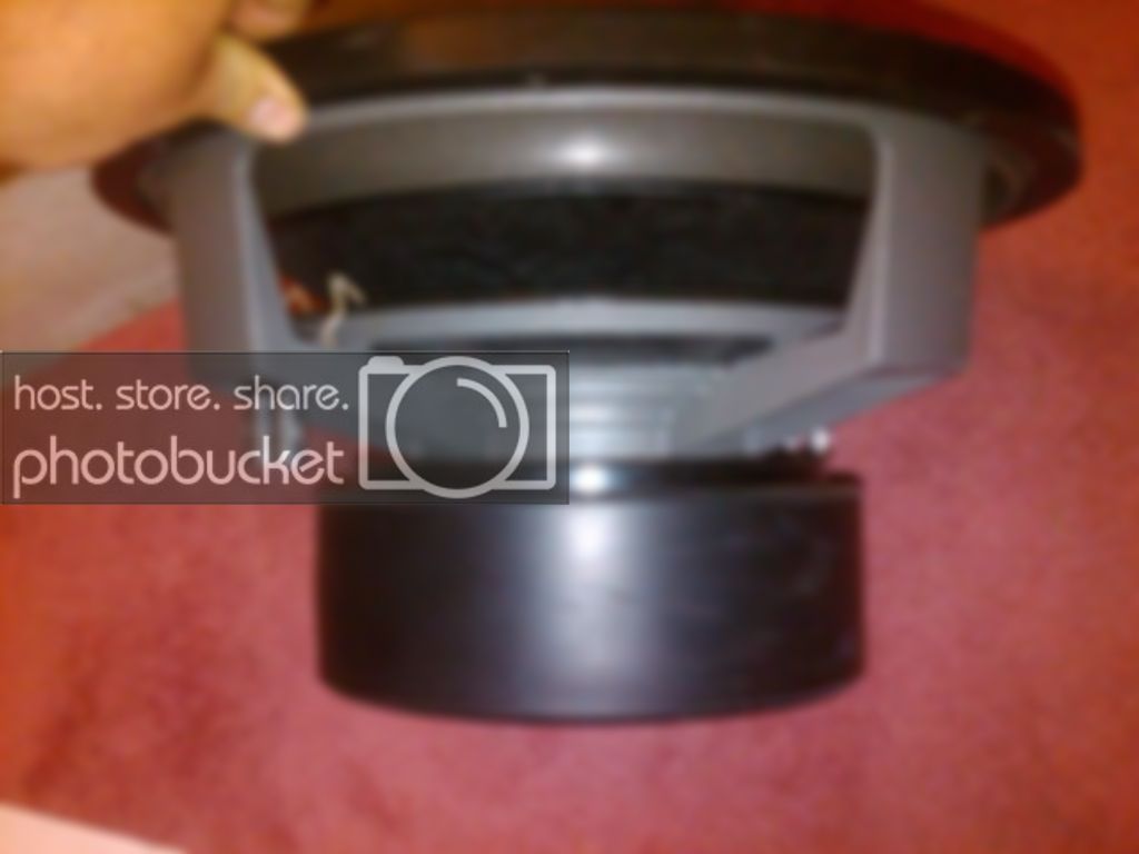 IMG00275-20100808-184700000.jpg