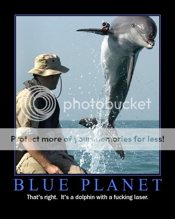 dolphinfb1.jpg