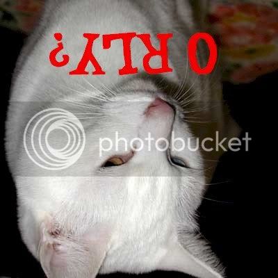 132121321231.jpg