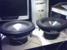 doublesub.gif