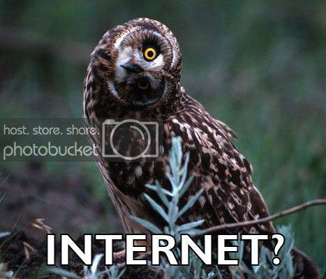 intraweb.jpg