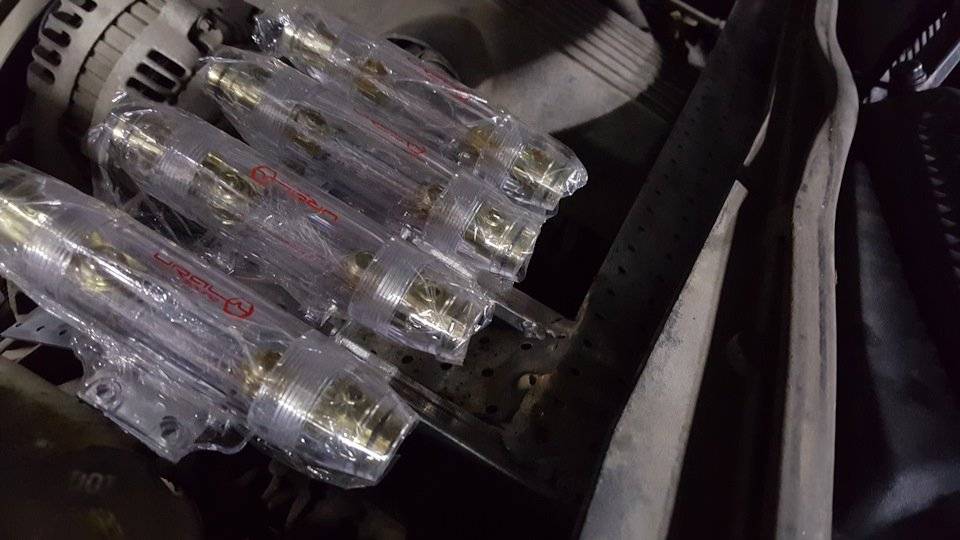 431d41s-960.jpg