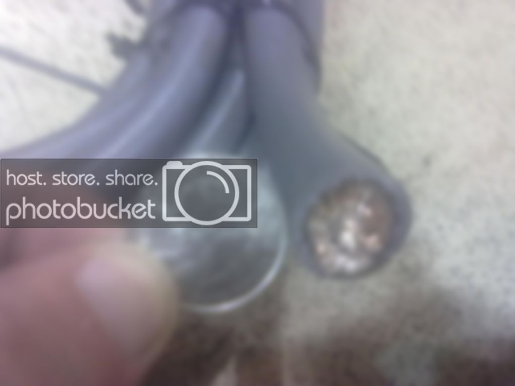 08132010286.jpg