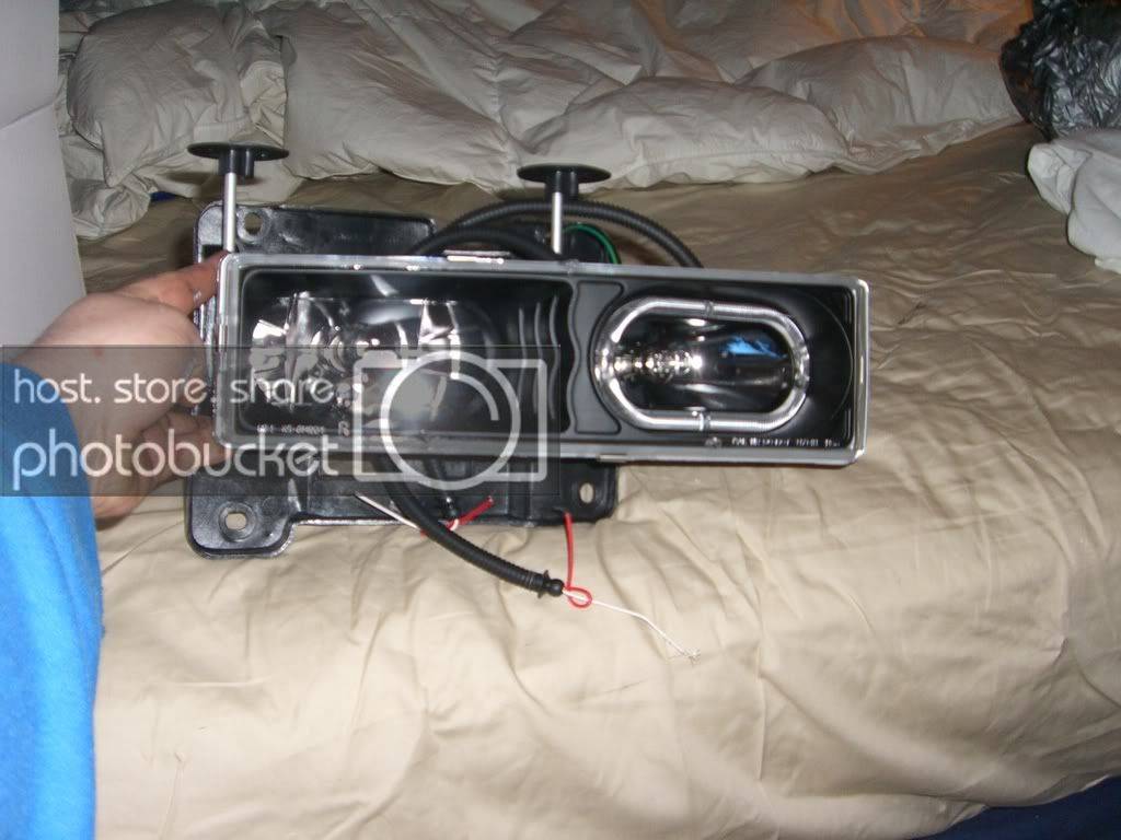 Picture009.jpg