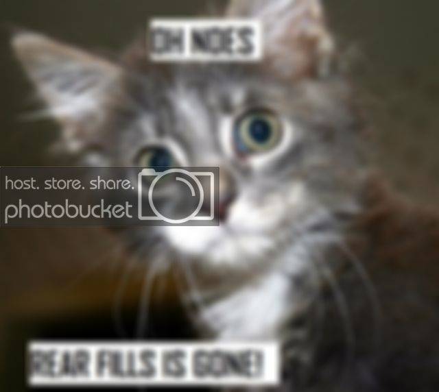 Funny_Suprised_KittenREARFILLS.jpg
