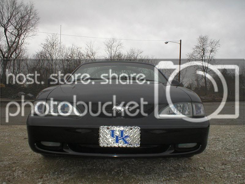 stang3.jpg