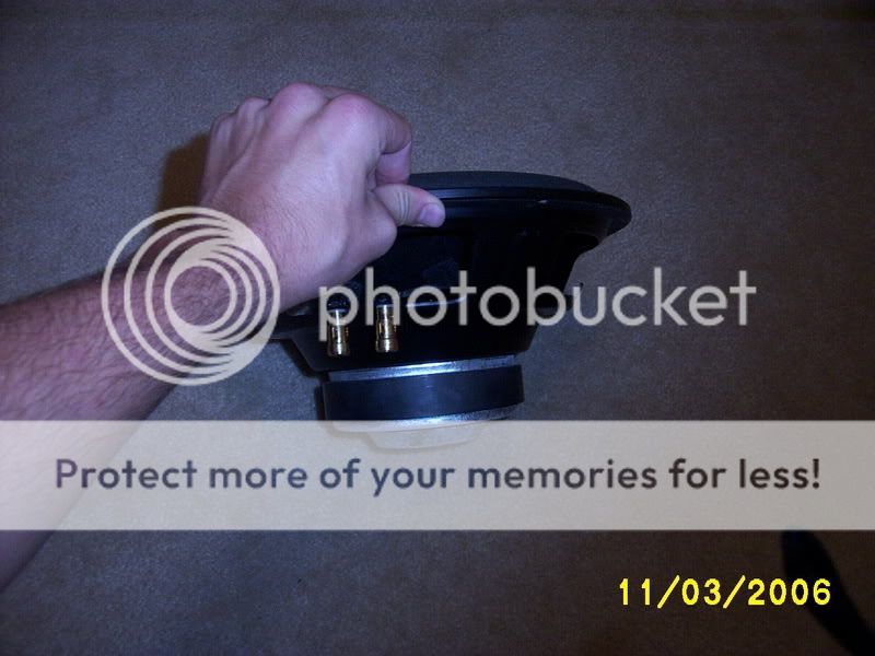 Picture380.jpg