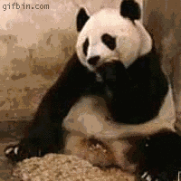 1238157898_recursivepanda.gif