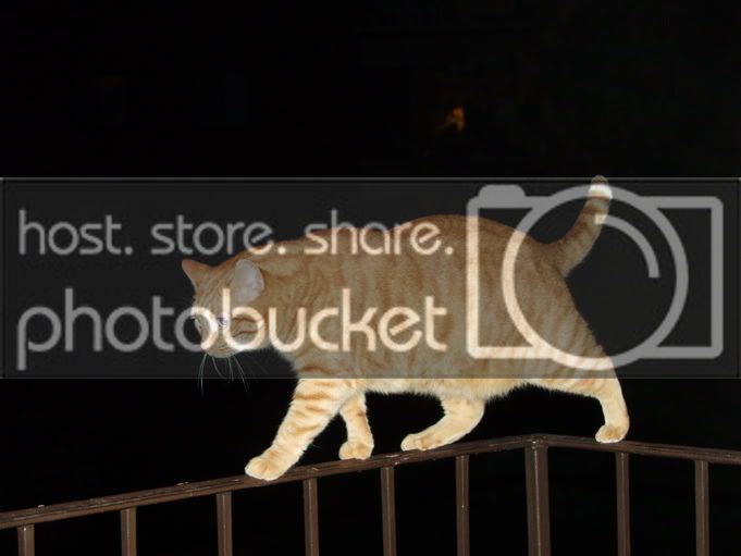 DSCF2063.jpg