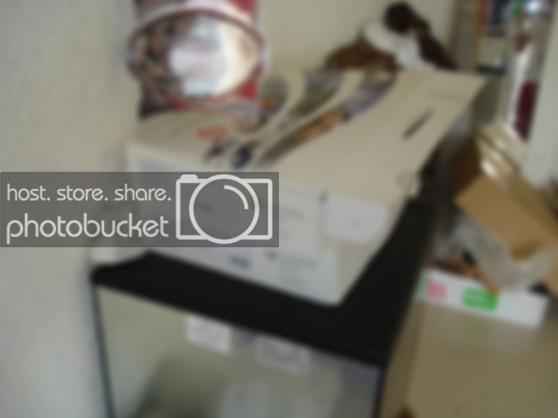 bumper044.jpg