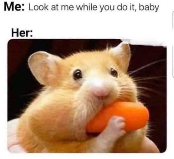 2wqfuxh6luf81.jpg