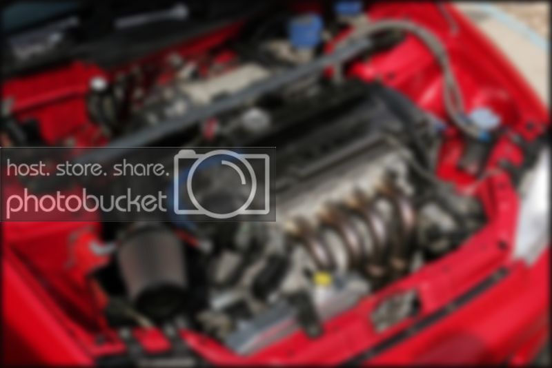 Niceandcleanunderthehood.jpg