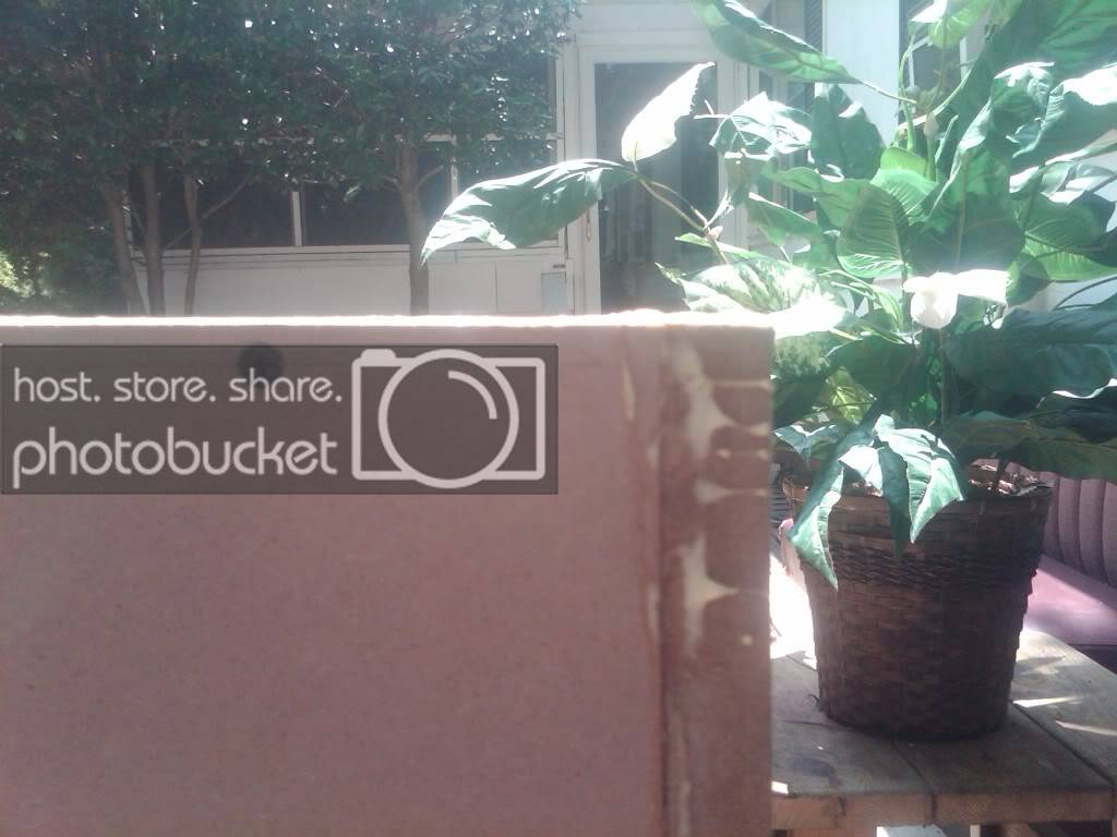 IMG00521-20100715-1334.jpg
