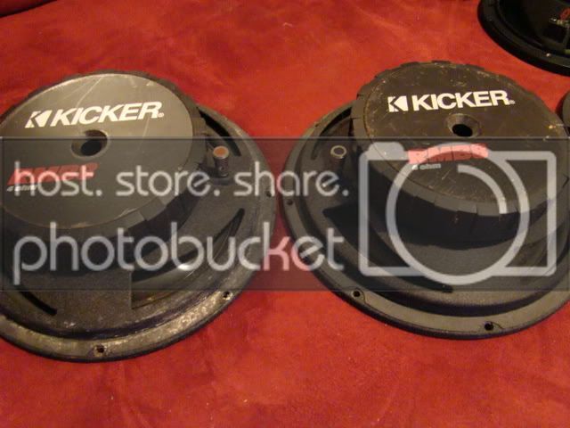 DSC01646.jpg