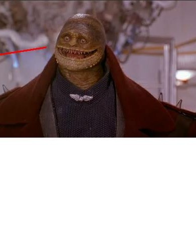 head.jpg