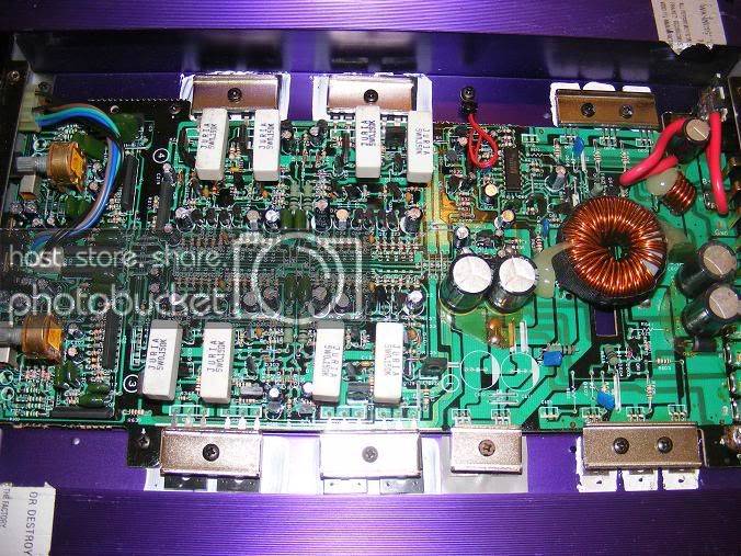audiogodsampsguts.jpg