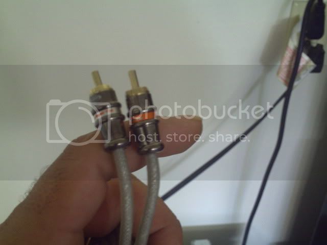 PICT0019.jpg