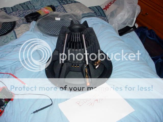 DSC02413.jpg