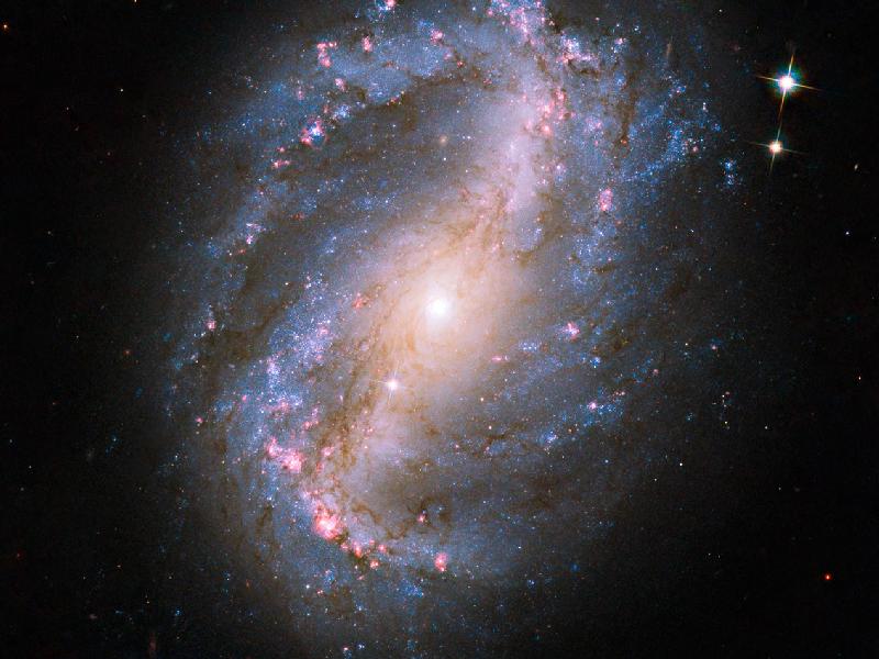384937main_ero_teaser_ngc6217_4x3_800-600.jpg