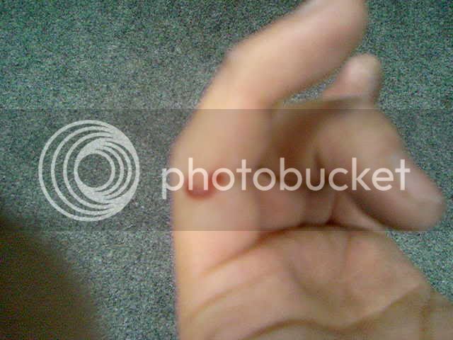 Photo-0120.jpg