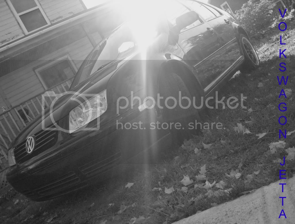 JETTA2.jpg