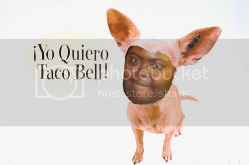 tacobellBlazar.jpg