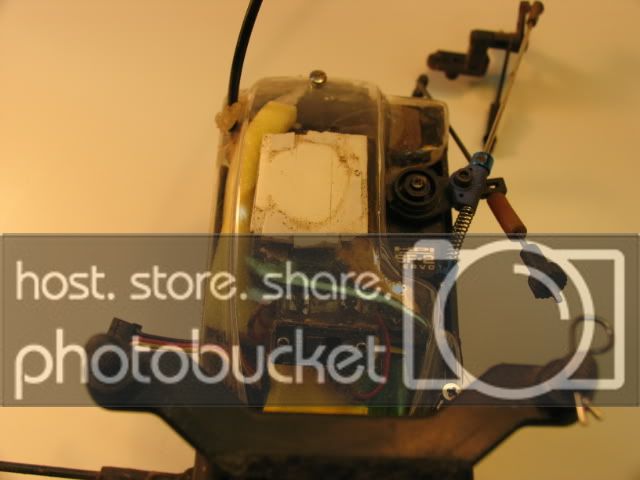 Picture014.jpg