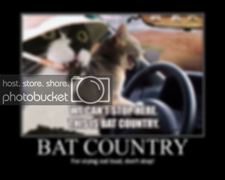 batcountry.jpg