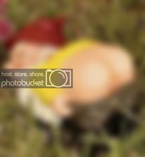 images2_zps1ffa410a.jpg