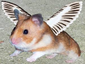 hamster-redux2.jpg