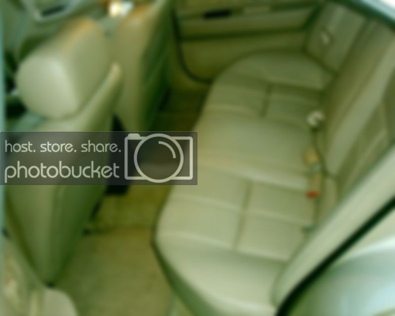 maxima006.jpg