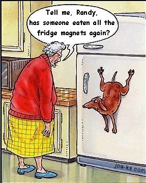 FridgeMagnet.jpg