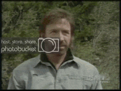 chucknorrispaddle2zx.gif