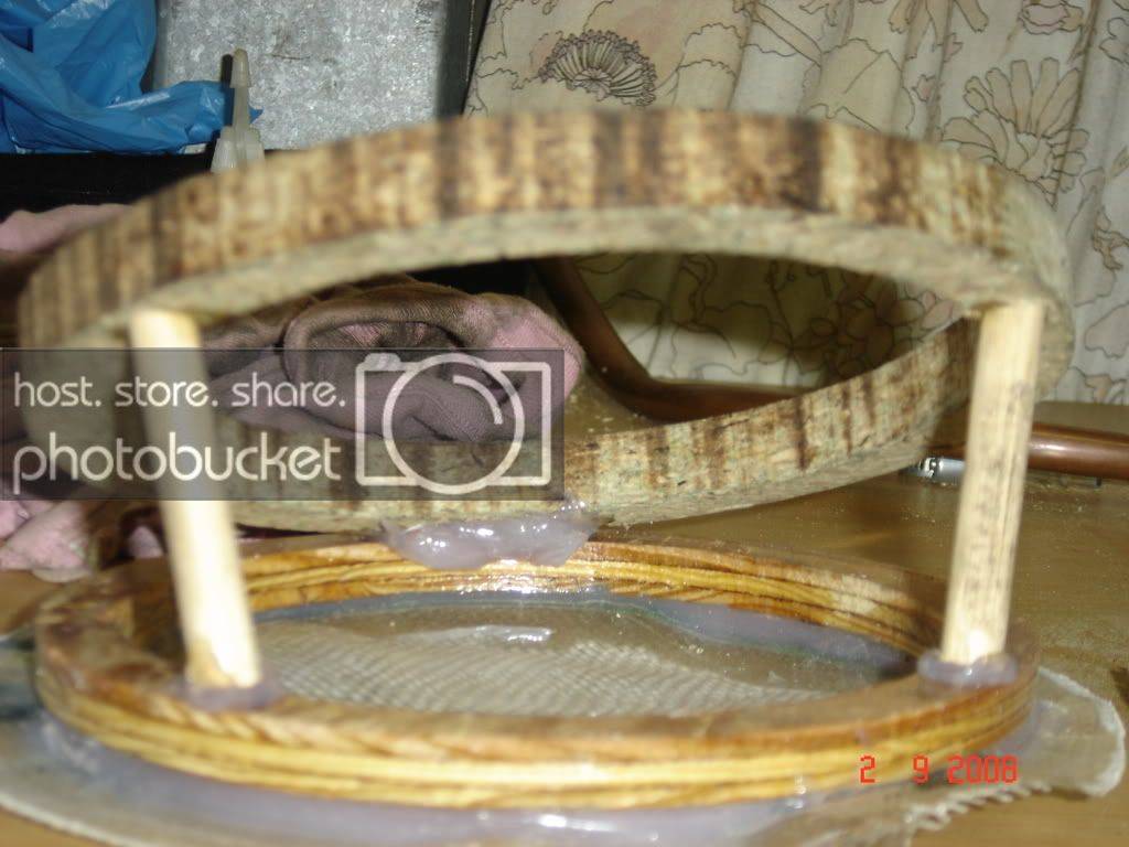DSC02786.jpg