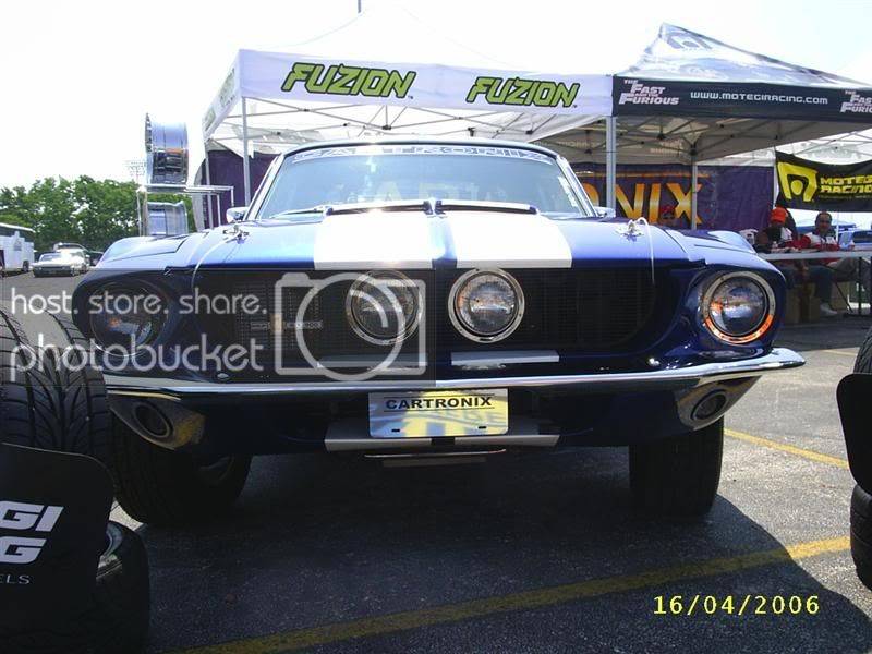 S3010023Medium.jpg