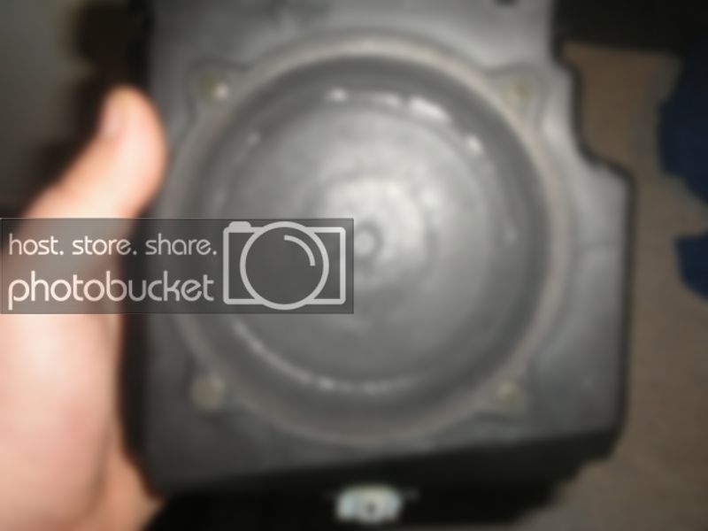 P1010003.jpg