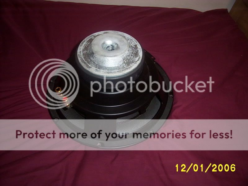Picture434.jpg