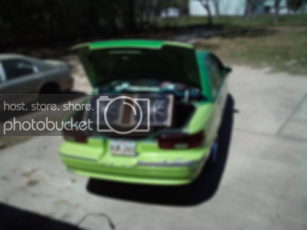 2011-03-24131508.jpg