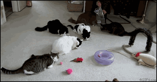 727.gif